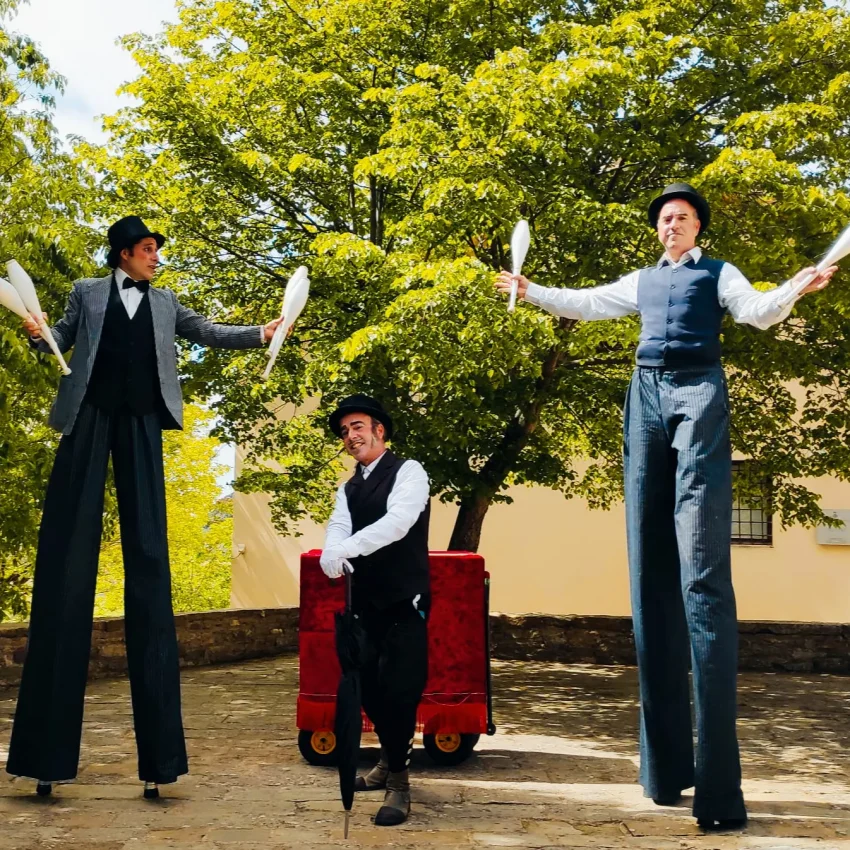 ELEGANTS (4)